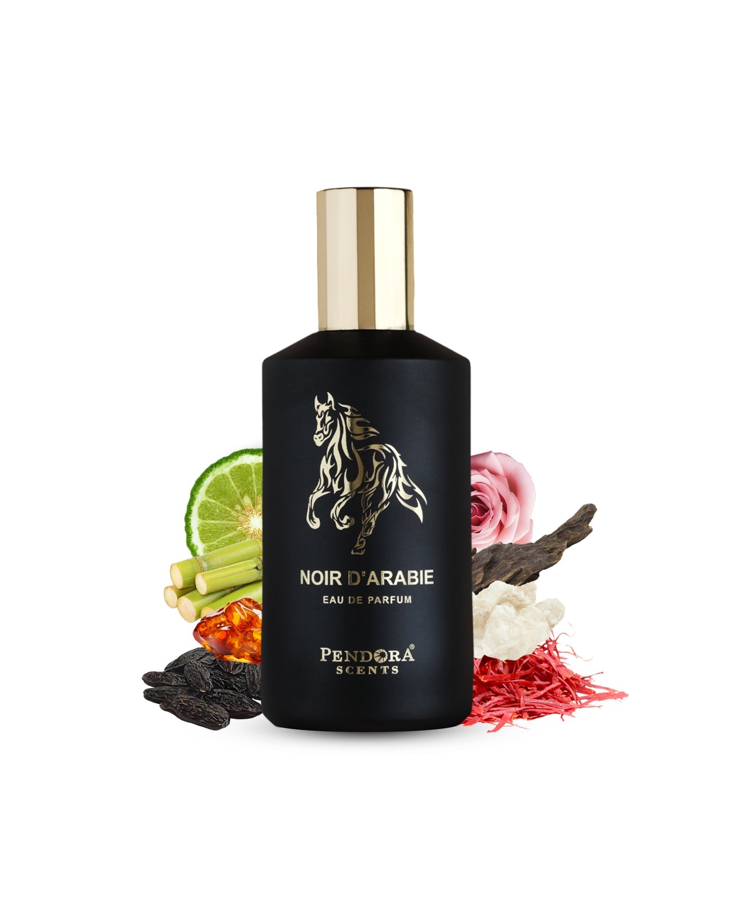 NOIR D'ARABIE de Pandora