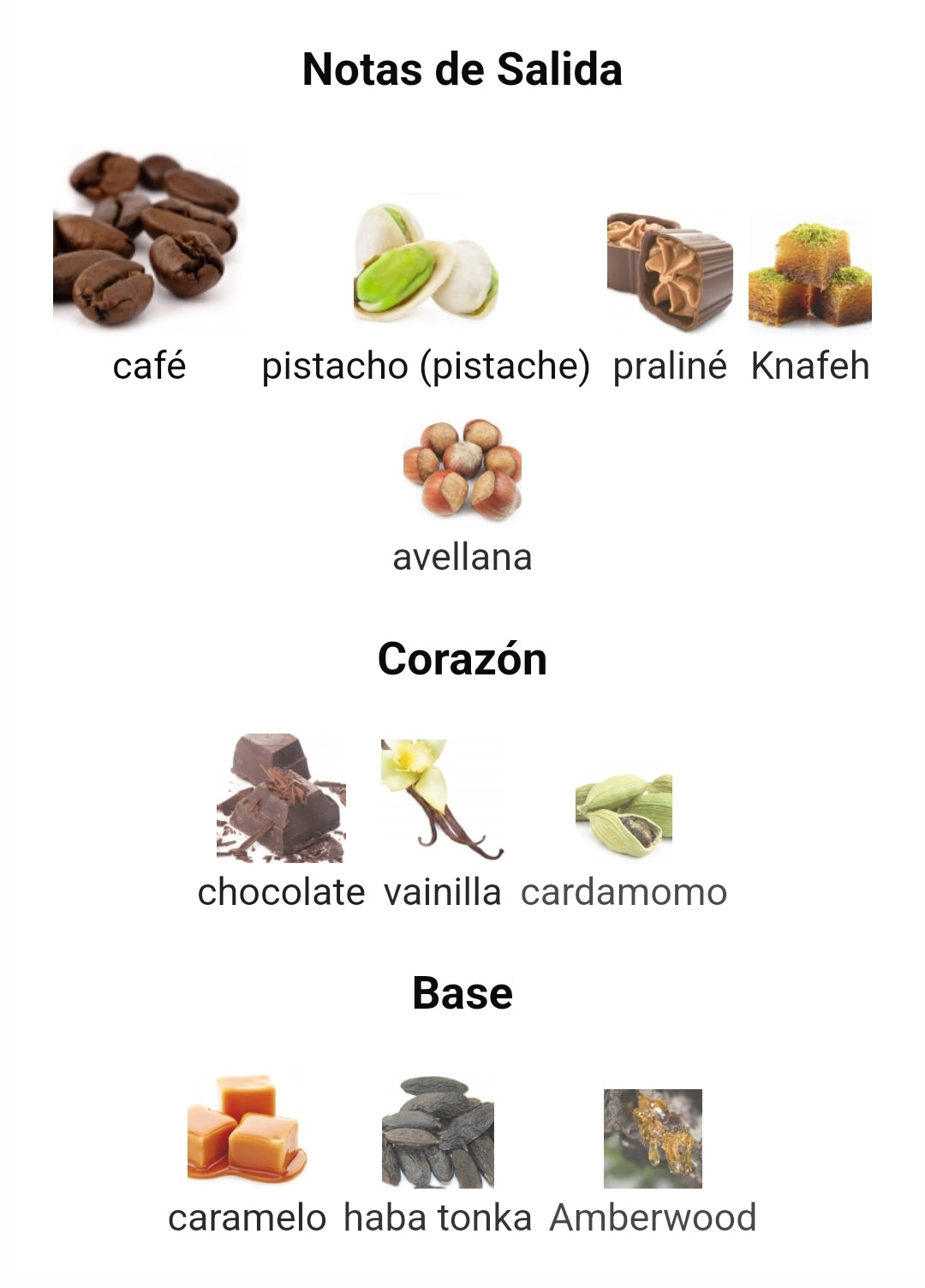 Odyssey Dubai Chocolat